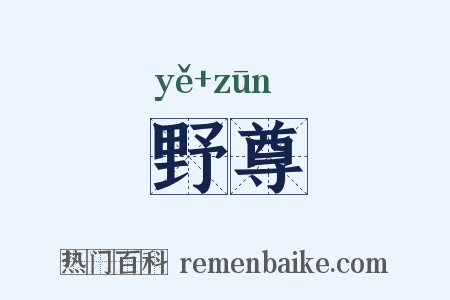 野尊是什么意思的图片